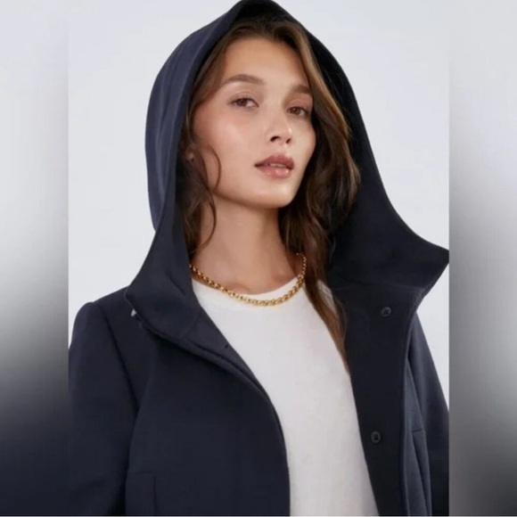 Aritzia Babaton Wool coat - Picture 1 of 8